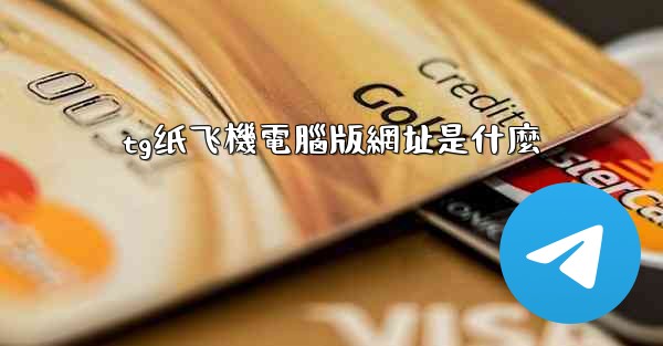 tg纸飞機電腦版網址是什麼