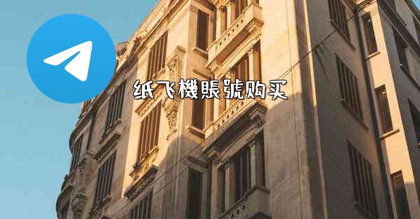 纸飞機賬號购买