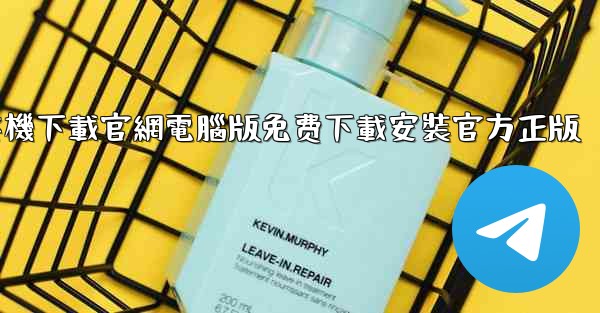 纸飞機下載官網電腦版免费下載安裝官方正版