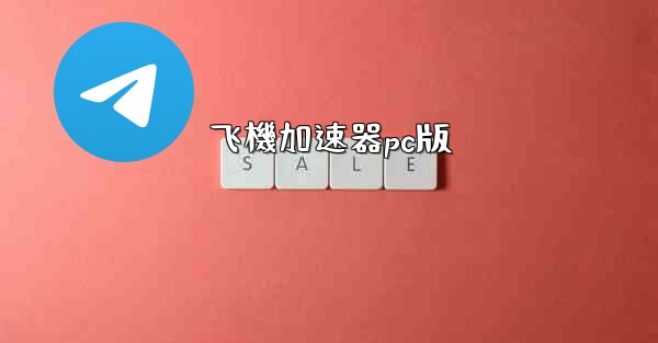 飞機加速器pc版