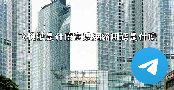 飞機號是什麼意思網絡用语是什麼