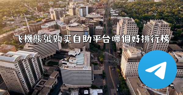 <b>飞機賬號购买自助平台哪個好排行榜</b>