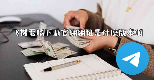 飞機電腦下載官網網址是什麼版本啊