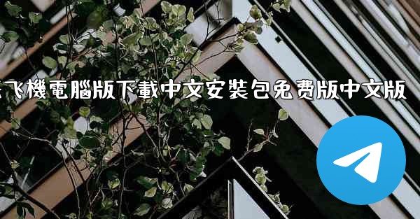 纸飞機電腦版下載中文安裝包免费版中文版