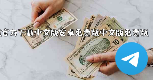 飞機電腦版官方下載中文版安卓免费版中文版免费版