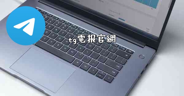 tg電报官網