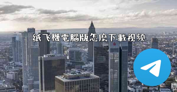 纸飞機電腦版怎麼下載视频