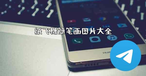 纸飞機簡笔画图片大全