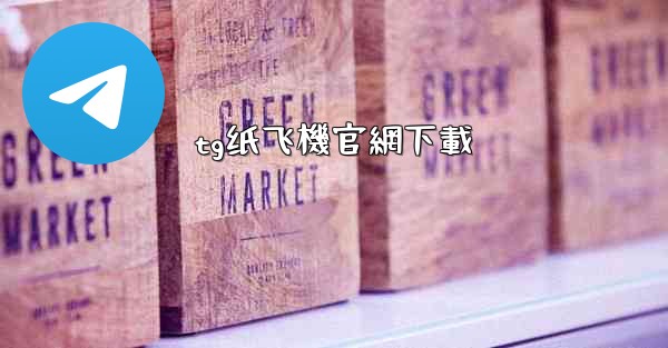 tg纸飞機官網下載