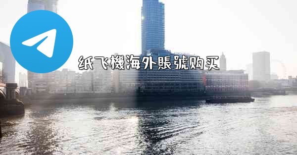 纸飞機海外賬號购买
