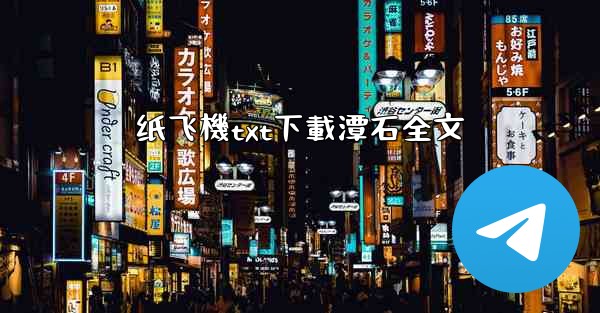 纸飞機txt下載潭石全文