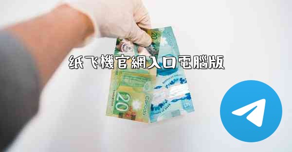 纸飞機官網入口電腦版