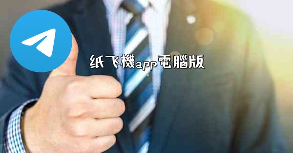 纸飞機app電腦版