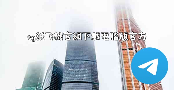 tg纸飞機官網下載電腦版官方