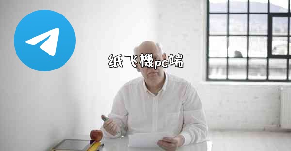 纸飞機pc端