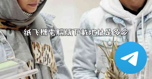 纸飞機電腦版下載地址是多少