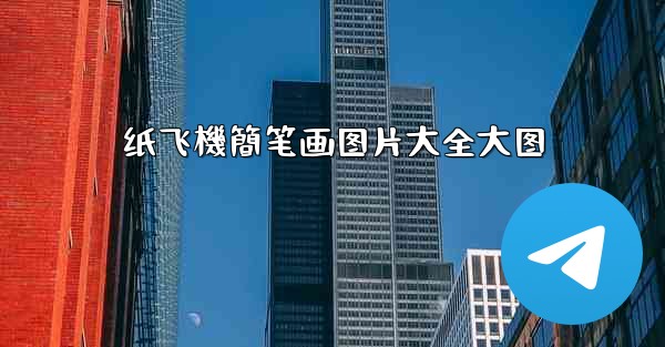 纸飞機簡笔画图片大全大图