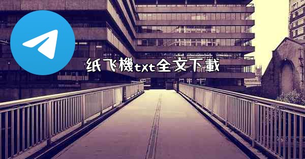 纸飞機txt全文下載