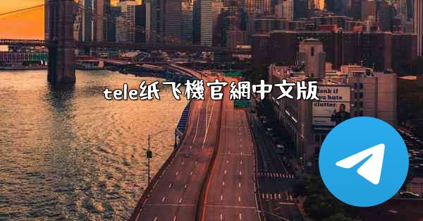 tele纸飞機官網中文版