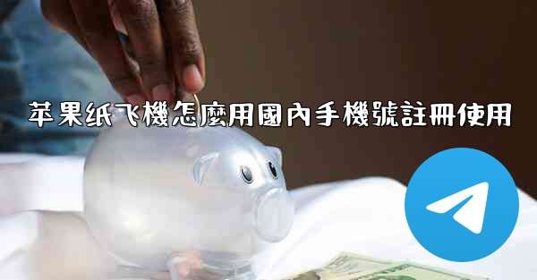 苹果纸飞機怎麼用國內手機號註冊使用