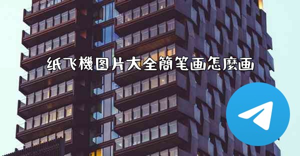 纸飞機图片大全簡笔画怎麼画