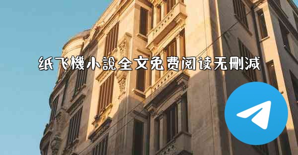 纸飞機小說全文免费阅读无刪減