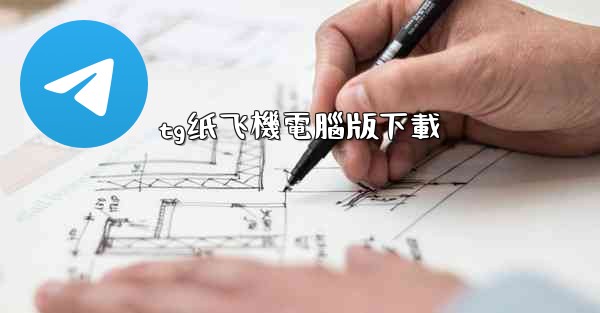 tg纸飞機電腦版下載