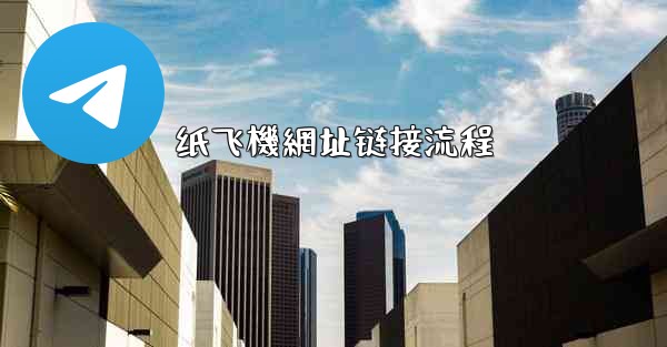 纸飞機網址链接流程