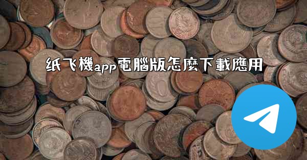 纸飞機app電腦版怎麼下載應用