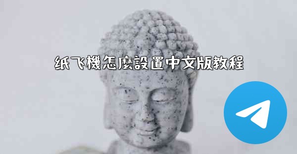 纸飞機怎麼設置中文版教程