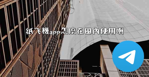 纸飞機app怎麼在國內使用啊