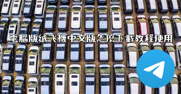 電腦版纸飞機中文版怎麼下載教程使用