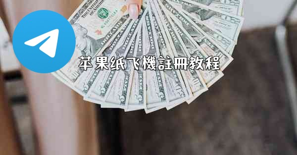 苹果纸飞機註冊教程