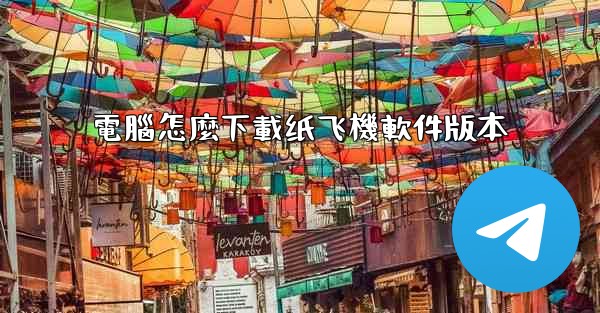 電腦怎麼下載纸飞機軟件版本