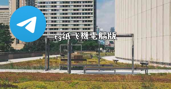 tg纸飞機電腦版