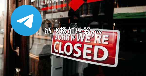 纸飞機加速器npv