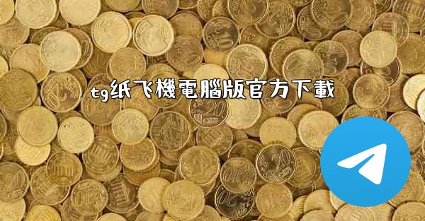 tg纸飞機電腦版官方下載