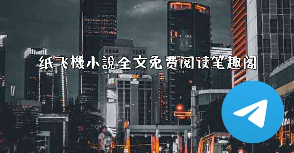 纸飞機小說全文免费阅读笔趣阁