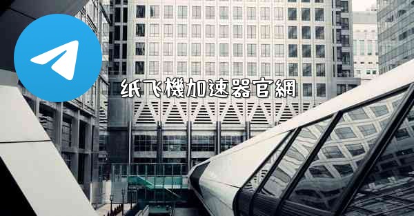 纸飞機加速器官網