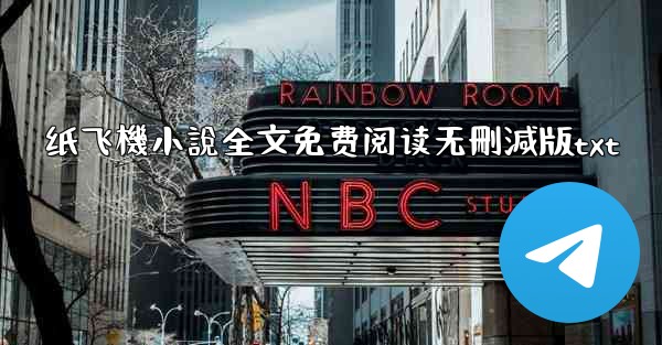 纸飞機小說全文免费阅读无刪減版txt