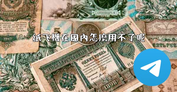 纸飞機在國內怎麼用不了呢