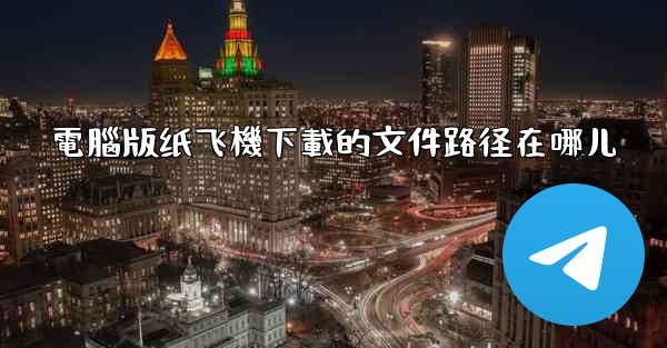 電腦版纸飞機下載的文件路径在哪儿