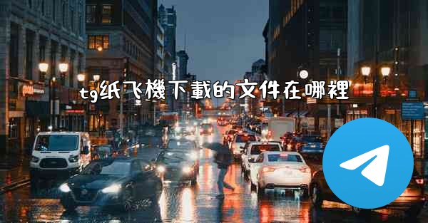 tg纸飞機下載的文件在哪裡