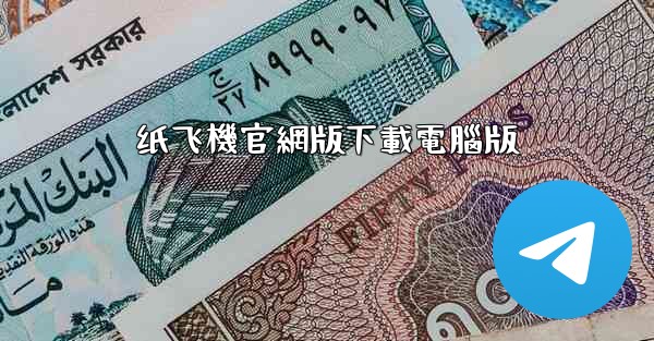 纸飞機官網版下載電腦版