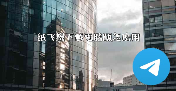纸飞機下載電腦版怎麼用