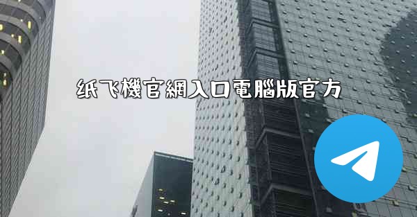 纸飞機官網入口電腦版官方