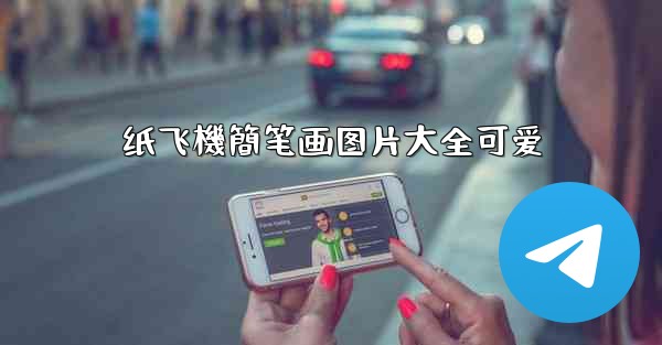 <b>纸飞機簡笔画图片大全可爱</b>