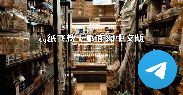 tg纸飞機下載官網中文版