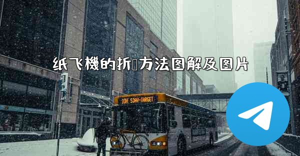 纸飞機的折叠方法图解及图片