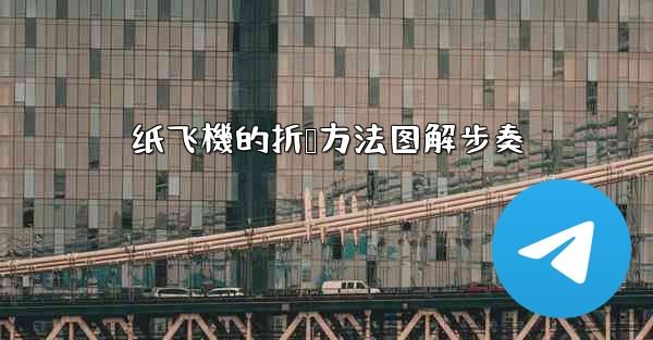 纸飞機的折叠方法图解步奏